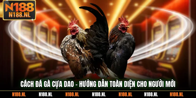 Cách đá gà cựa dao