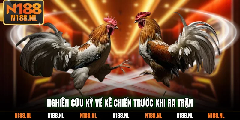 Nghiên cứu kỹ về kê chiến trước khi ra trận