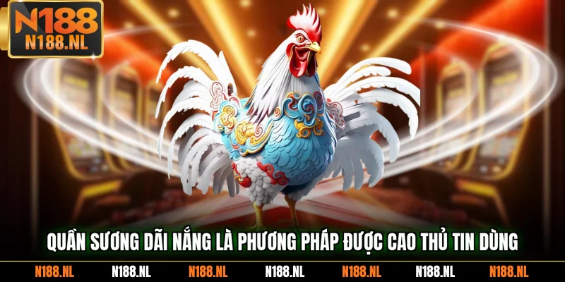 Quần sương dãi nắng là phương pháp được cao thủ tin dùng